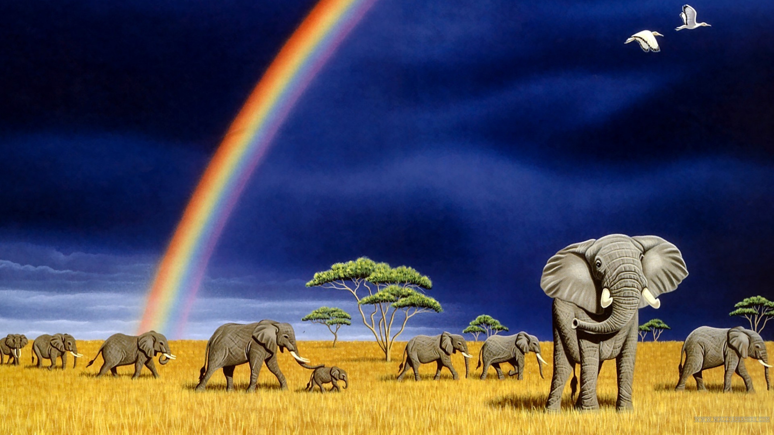 on rainbows, chaos, Prof Dawkins and the tail end of an elephant