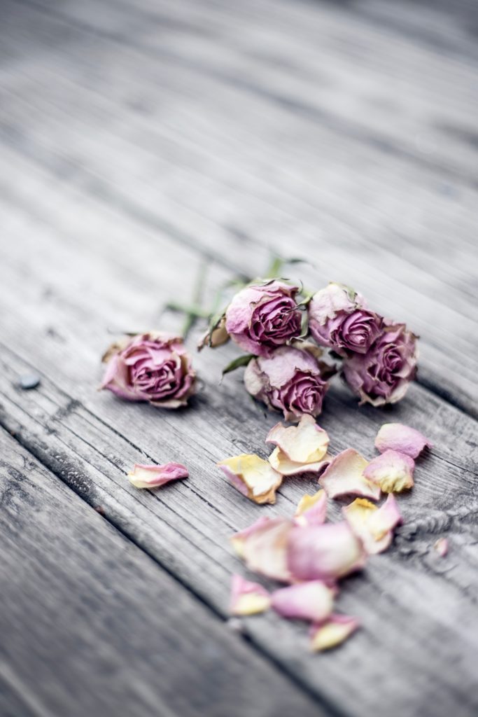Funeral Celebrant Manawatu Sande Ramage